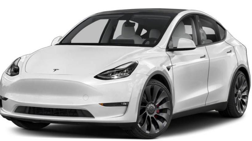 TESLA MODEL Y 2021 5YJYGDEE4MF096345 image